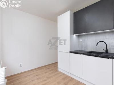 Sale apartment 2+1 Ostrava, Lumírova č. 23