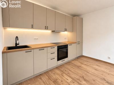 Sale apartment 2+KK Plzeň, Popelnicová č. 10
