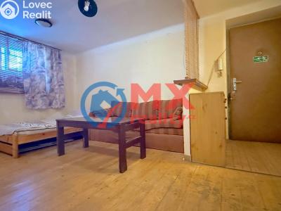 Sale apartment 1+1 Praha, Krátký lán č. 4