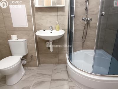 Rent apartment 2+1 Luštěnice č. 3