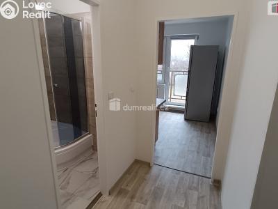 Rent apartment 2+1 Luštěnice č. 7