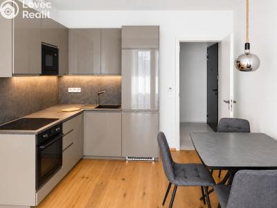 Pronájem apartmánů Praha, Starokošířská č. 1
