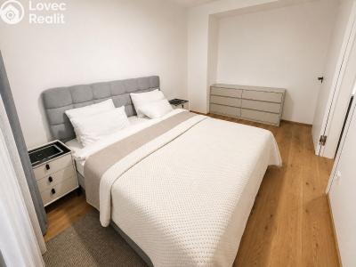 Pronájem apartmánů Praha, Starokošířská č. 4