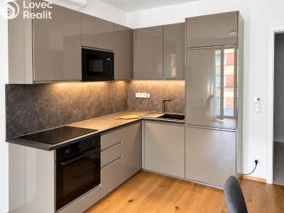 Pronájem apartmánů Praha, Starokošířská č. 1