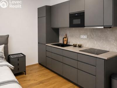 Pronájem apartmánů Praha, Starokošířská č. 1
