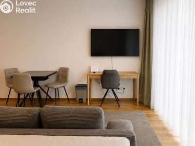 Pronájem apartmánů Praha, Starokošířská č. 7