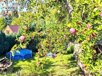 Sale garden Litvínov č. 7