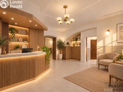 Rent commercial space Praha, Petřínská č. 4