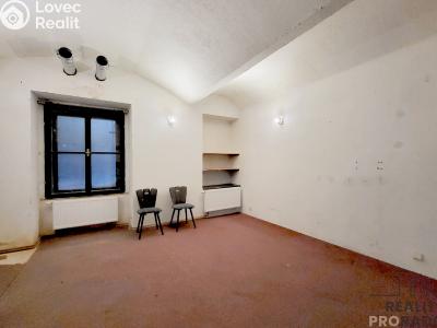 Rent commercial space Praha, Petřínská č. 11