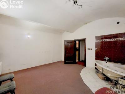 Rent commercial space Praha, Petřínská č. 13