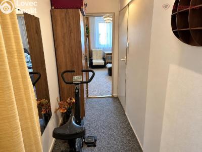 Sale apartment 2+1 Přerov, Velká Dlážka č. 12