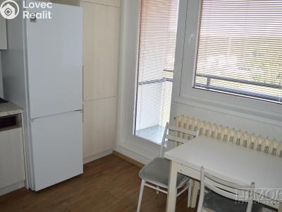 Оренда квартири 1+1 Brno, Horácké náměstí č. 4