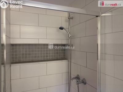 Оренда квартири 1+1 Karlovy Vary, Na Vyhlídce č. 16