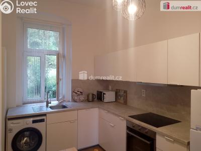 Rent apartment 1+1 Karlovy Vary, Na Vyhlídce č. 2