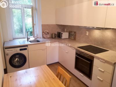 Rent apartment 1+1 Karlovy Vary, Na Vyhlídce č. 4