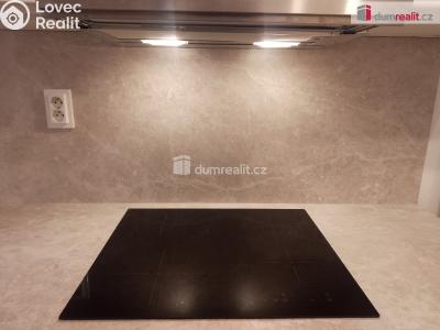 Rent apartment 1+1 Karlovy Vary, Na Vyhlídce č. 14