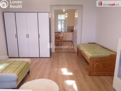 Rent apartment 1+1 Karlovy Vary, Na Vyhlídce č. 20
