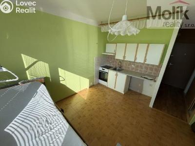 Prodej bytu 1+1 Most, Marš. Rybalka 1036 č. 3