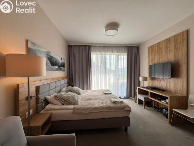 Продажа квартиры 1+KK Dolní Morava, Dolní Morava č. 2