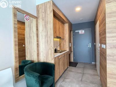 Продажа квартиры 1+KK Dolní Morava, Dolní Morava č. 4