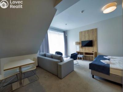 Продажа квартиры 1+KK Dolní Morava, Dolní Morava č. 3