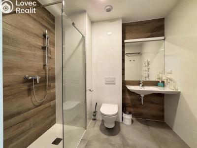 Продажа квартиры 1+KK Dolní Morava, Dolní Morava č. 7