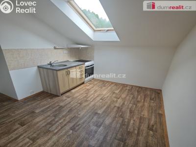 Оренда квартири 1+1 Děčín, Družstevní č. 3