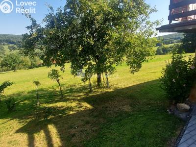 Sale hut Pozlovice č. 17