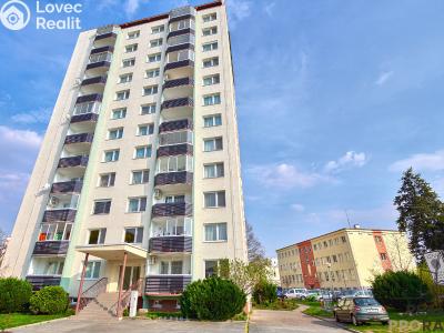 Rent apartment 1+1 Hodonín, Sv. Čecha č. 1