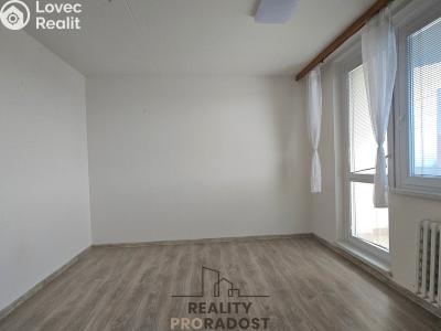 Rent apartment 1+1 Hodonín, Sv. Čecha č. 2
