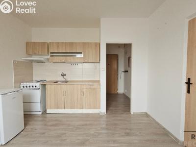 Rent apartment 1+1 Hodonín, Sv. Čecha č. 3