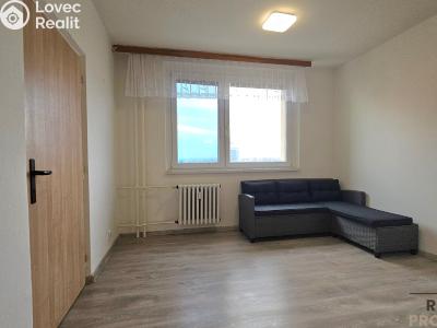 Rent apartment 1+1 Hodonín, Sv. Čecha č. 5