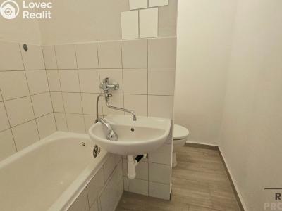 Rent apartment 1+1 Hodonín, Sv. Čecha č. 9