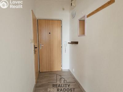 Rent apartment 1+1 Hodonín, Sv. Čecha č. 10