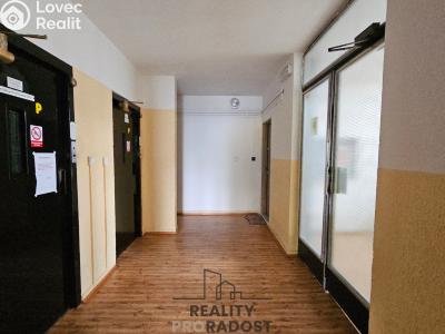 Rent apartment 1+1 Hodonín, Sv. Čecha č. 11