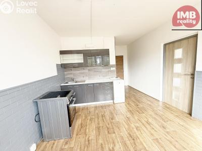 Sale apartment 1+1 Vintířov č. 15