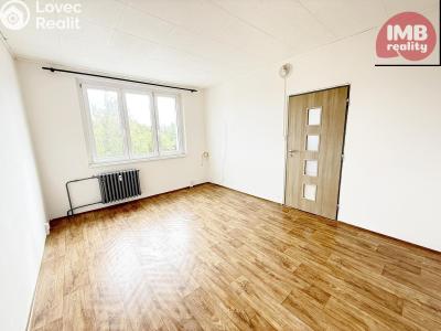 Sale apartment 1+1 Vintířov č. 2
