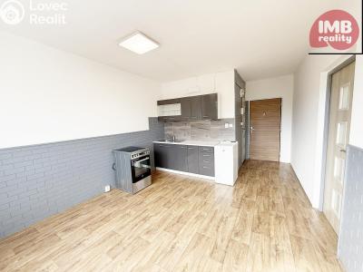 Sale apartment 1+1 Vintířov č. 4