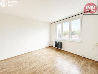 Sale apartment 1+1 Vintířov č. 9