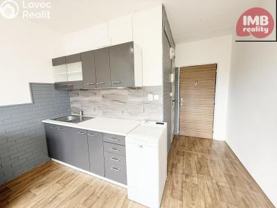 Sale apartment 1+1 Vintířov č. 10