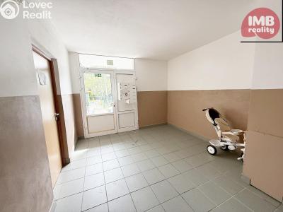 Sale apartment 1+1 Vintířov č. 12