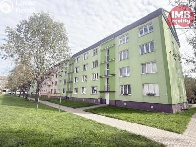 Sale apartment 1+1 Vintířov č. 14