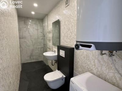 Pronájem bytu 2+KK Praha, U kněžské louky č. 5