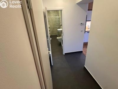 Pronájem bytu 2+KK Praha, U kněžské louky č. 14