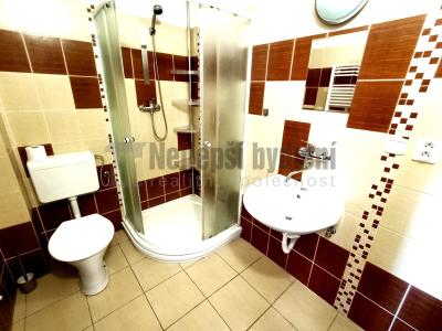 Оренда квартири 3+1 Brno, Lomená č. 5