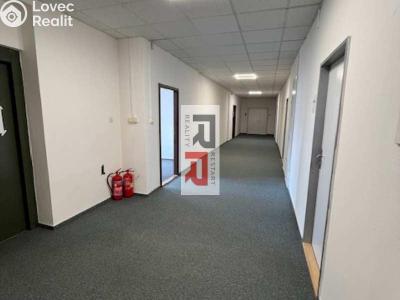 Pronájem kanceláře Olomouc, Hálkova č. 8