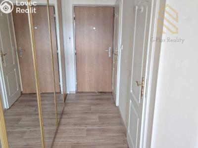 Pronájem bytu 2+1 Bílina, Bezejmenná 256 č. 3