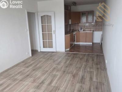 Pronájem bytu 2+1 Bílina, Bezejmenná 256 č. 4