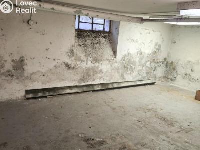 Rent warehouse Valašské Meziříčí, Poláškova č. 4
