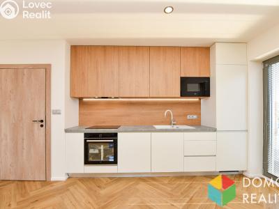Rent apartment 2+KK Beroun, Vorlova č. 3